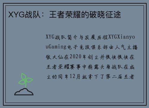 XYG战队：王者荣耀的破晓征途
